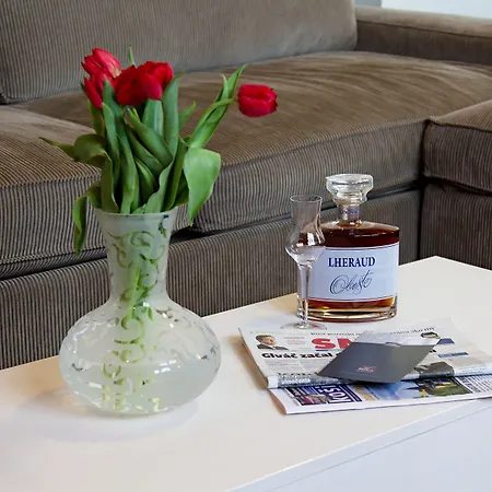 酒店 罗卡国会酒店 3*