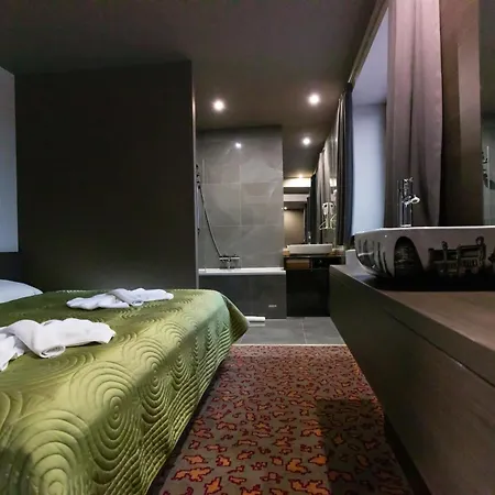 فندق Kongres Roca 3*