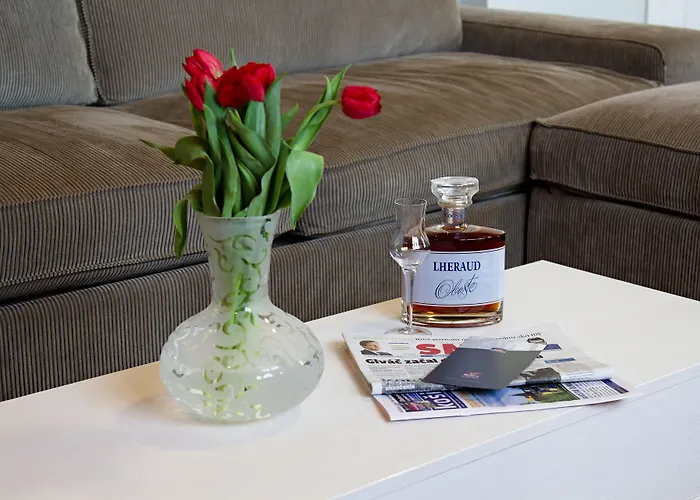 酒店 罗卡国会酒店 3*