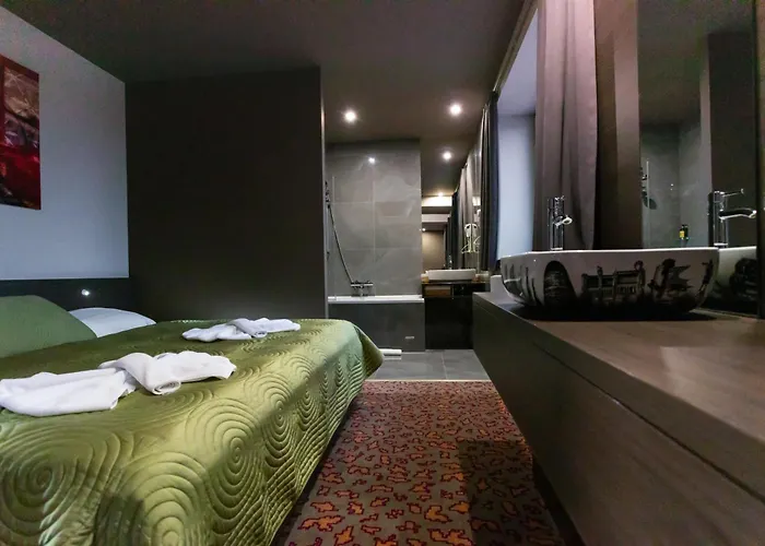 فندق Kongres Roca 3*